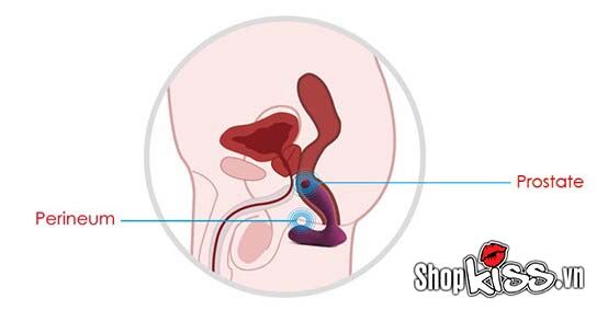 Máy Rung Điểm G Svakom Vicky Chính Hãng Mỹ Kích Thích Cực Mạnh