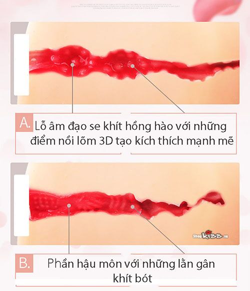  Địa chỉ bán Búp bê silicone mini bán thân giá tốt