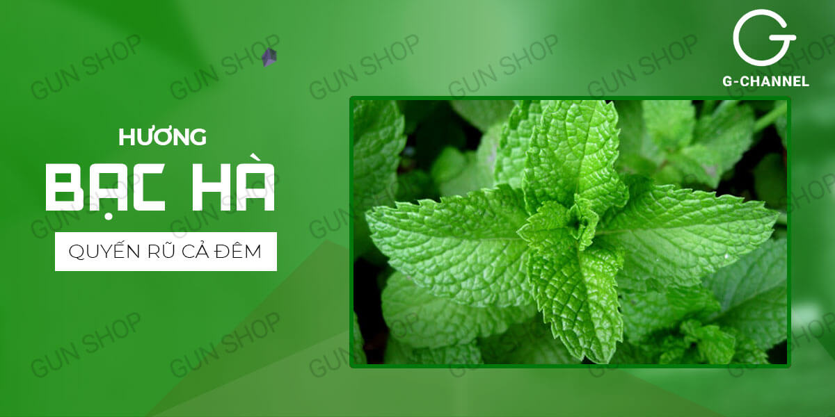 Phân phối Bao cao su OKHQ hương bạc hà - Hộp 144 cái cao cấp Phân phối Bao cao su OKHQ hương bạc hà - Hộp 144 cái cao cấp