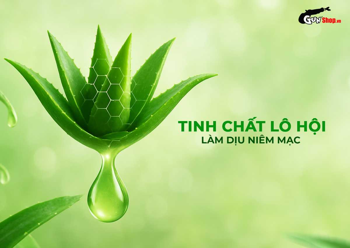 Gel bôi trơn hậu môn Shell Aloe Vera 90ml mượt mát dễ chịu Gel bôi trơn hậu môn Shell Aloe Vera 90ml mượt mát dễ chịu
