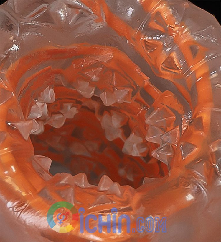 Tenga Spinner 6 mẫu xoắn ốc độc đáo kích thích cực mạnh