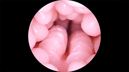 Leten Yui Hatano âm đạo giả co bóp mềm mại phiên bản anime cực thực Leten Yui Hatano âm đạo giả co bóp mềm mại phiên bản anime cực thực