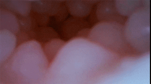 Leten Yui Hatano âm đạo giả co bóp mềm mại phiên bản anime cực thực Leten Yui Hatano âm đạo giả co bóp mềm mại phiên bản anime cực thực