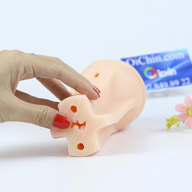  Kho sỉ Pussy Vibration rung 7 chế độ từ nhẹ tới mạnh hàng xách tay