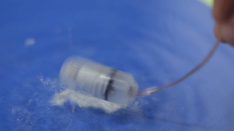 Bán Pink Pussy rung từ nhẹ tới mạnh silicon cực êm chính hãng