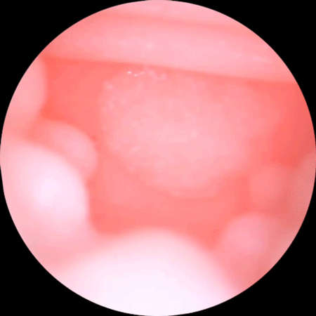 Âm đạo giả ManMiao Lovely Catwoman mềm mại kiểu dáng mèo đáng yêu