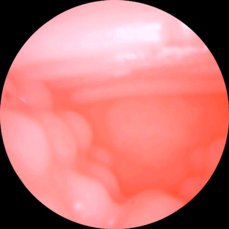 Âm đạo giả ManMiao Lovely Catwoman mềm mại kiểu dáng mèo đáng yêu