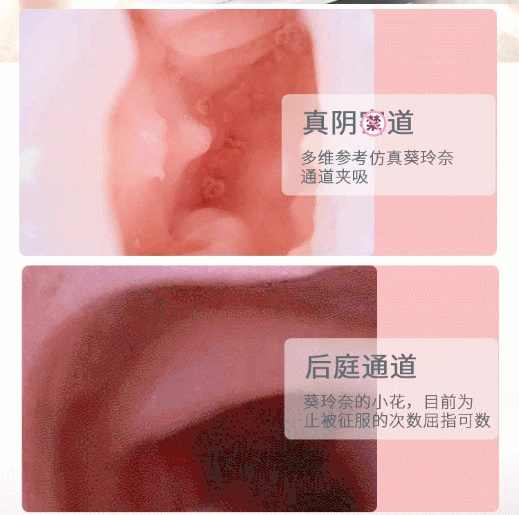  Sỉ RENDS Rena Aoi 2 lỗ cực khít mềm như thật Made in Japan giá sỉ