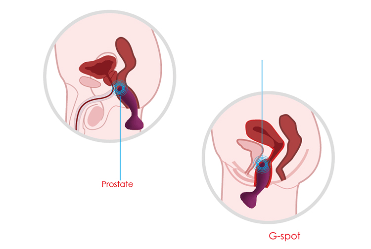 Svakom Julie 5 chế độ rung mạnh mẽ điều khiển từ xa