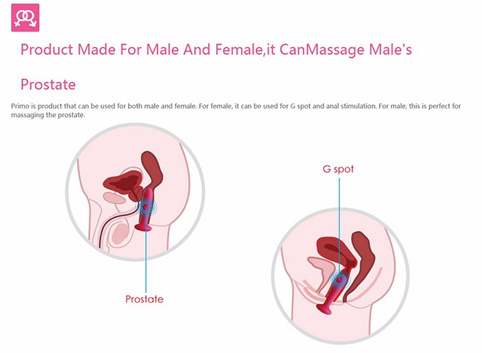 Svakom Primo máy rung điều khiển từ xa 25 chế độ sưởi ấm