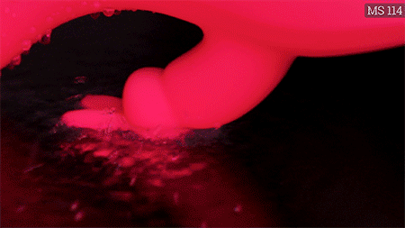 máy rung Oley aixiASIA kích thích 3 điểm đa cảm giác sướng