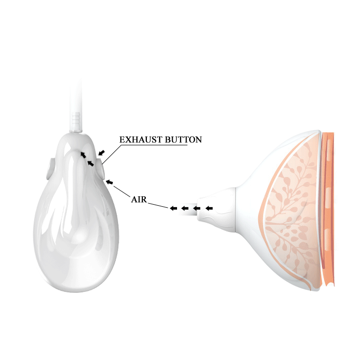 Pretty Love Fantasy Partner máy rung hút tăng kích thước vòng 1 nữ