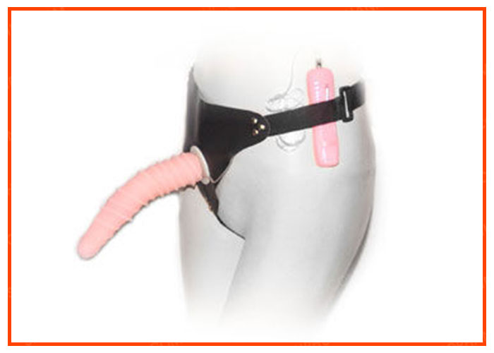 Dương Vật Giả Sâu Gân Uốn Lượn Chính Hãng Cao Cấp SHP577