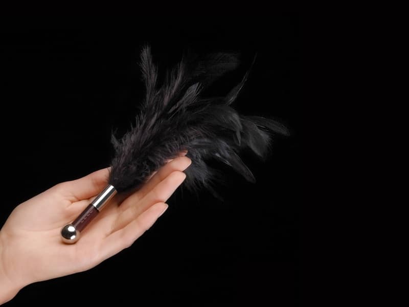 Chổi Lông Vũ SM Lelo Tantra Tăng Hứng Khởi Đam Mê Mạnh