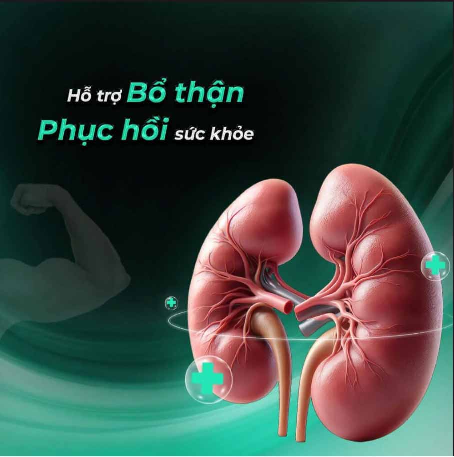 Kẹo Bạc Hà Powergra Sảng Khoái Tăng Lực Năng Động Mua Ngay Kẹo Bạc Hà Powergra Sảng Khoái Tăng Lực Năng Động Mua Ngay